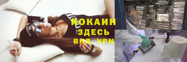 apvp Белокуриха