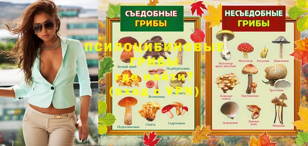 apvp Белокуриха